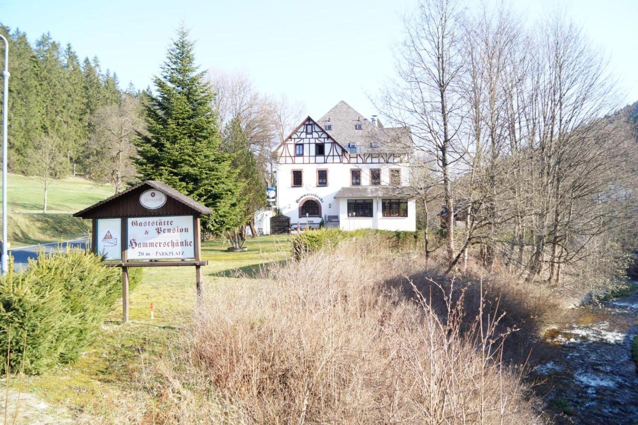 Gasthof Und Pension Hammerschaenke Wildenthal Luaran gambar