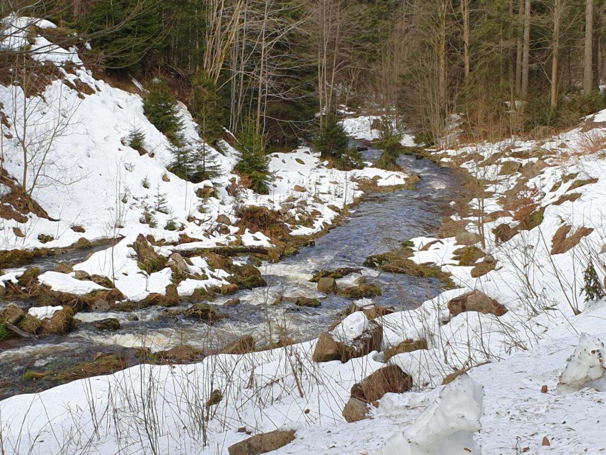 Gasthof Und Pension Hammerschaenke Wildenthal Luaran gambar
