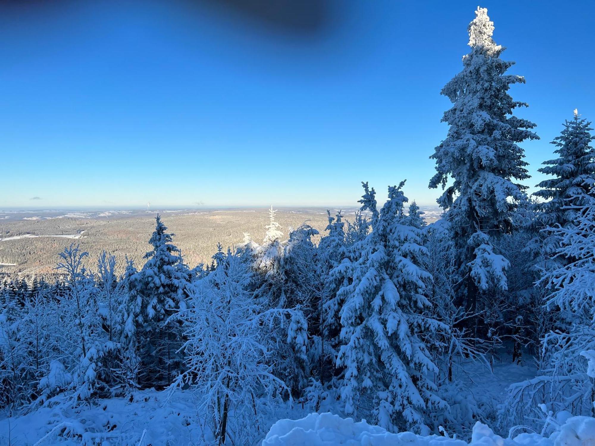 Gasthof Und Pension Hammerschaenke Wildenthal Luaran gambar