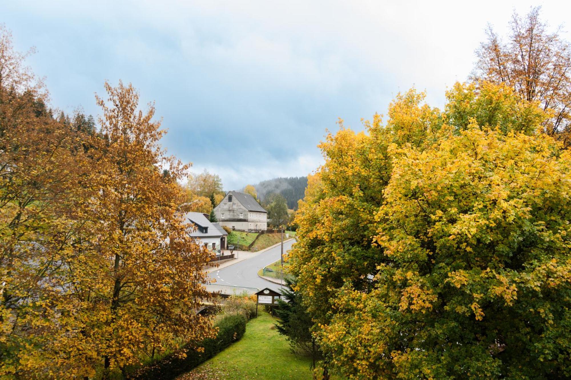Gasthof Und Pension Hammerschaenke Wildenthal Luaran gambar