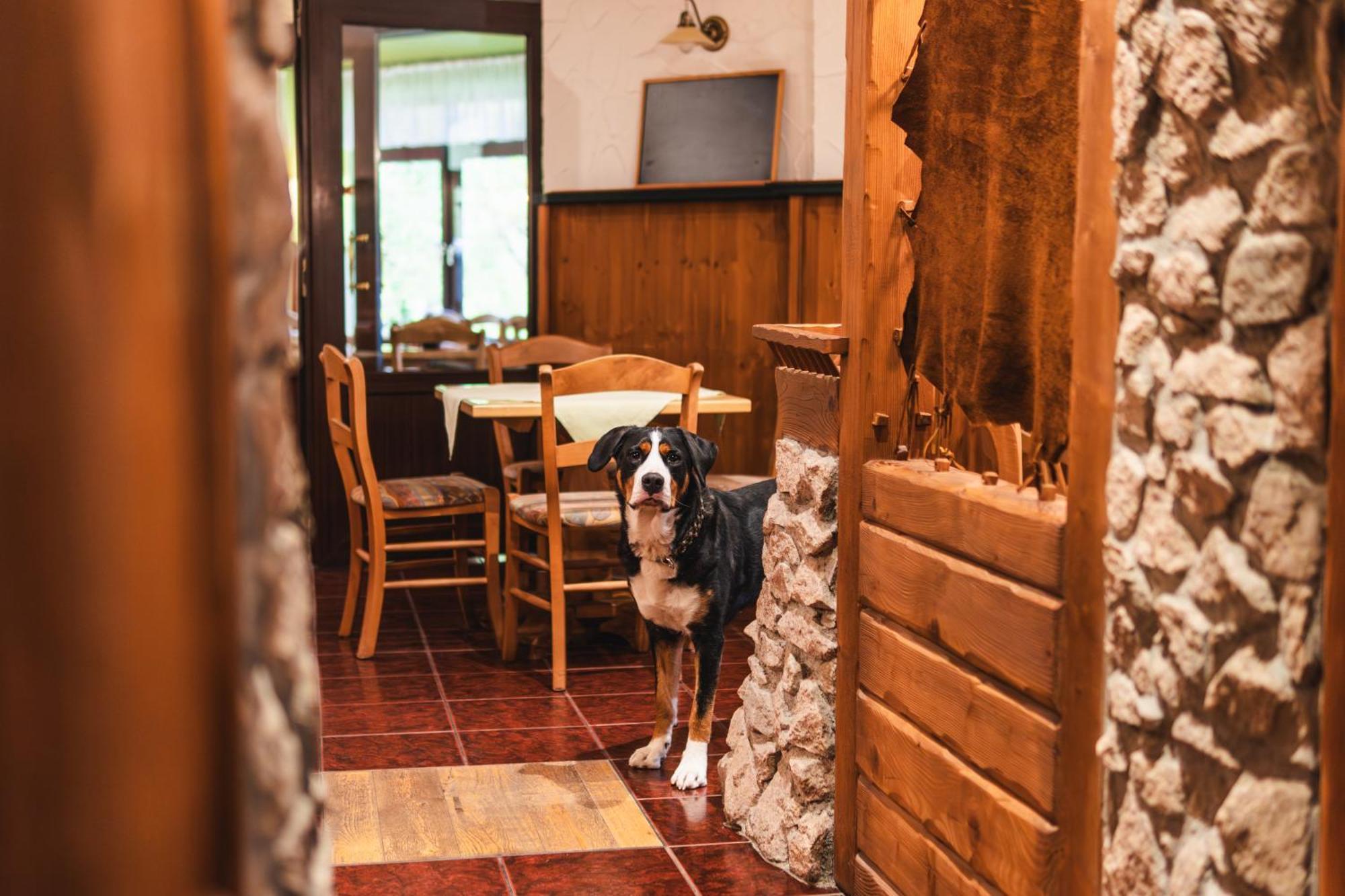 Gasthof Und Pension Hammerschaenke Wildenthal Luaran gambar